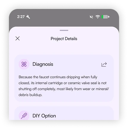 FinderlyFix project details showing a diagnosis of a dripping faucet